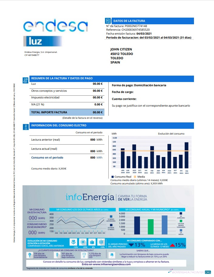 download download Spain Endesa luz utility bill template in Word and PDF format PDF template PDF template
